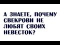 А знаете, почему свекрови не любят своих невесток? | Семейный анекдот