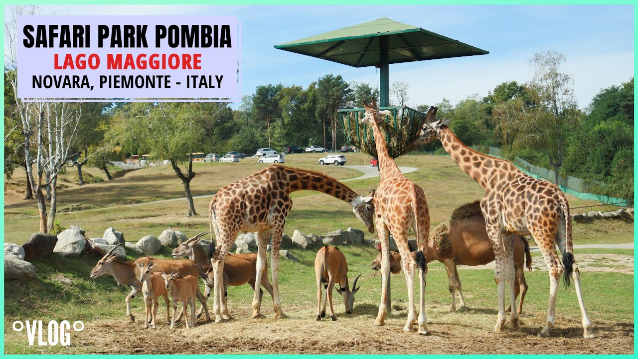 safari park pombia lago maggiore