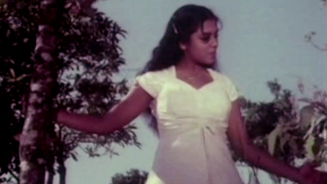 Ambilikombathe Ponnoonjalil  Kaattile Paattu  Malayalam Old Songs  Evergreen Malayalam Film Songs