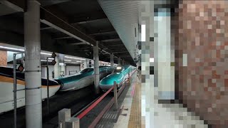 東北新幹線 やまびこ67号 盛岡行き E5系U35編成 2026.02.22