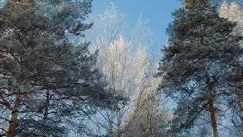 Vivaldi. Concerto in B Flat Major for Oboe, Violin, Strings & Basso Continuo