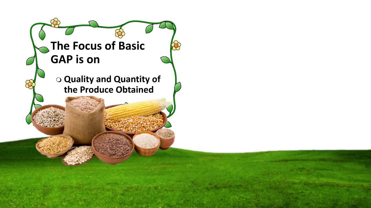 Good Agriculture Practice GAP By QCI www equest co in YouTube