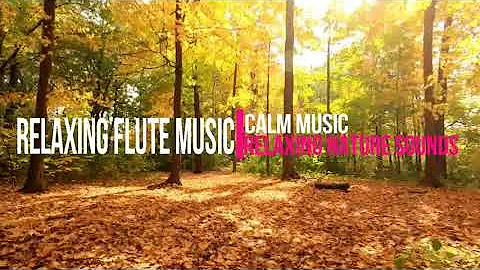 Relaxing Flute Music | Calm Music | Relaxing Nature Sounds