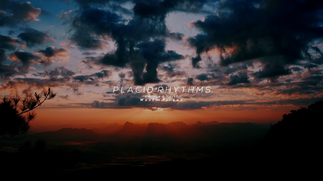 CarlRoe & Mack E   - Want it for you