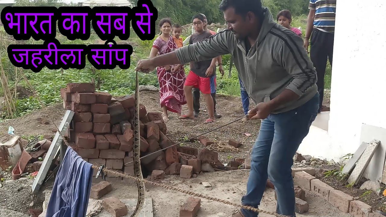 camera iphone 8 plus apk घोनस सांप बहुत जोर से सिटी मारता है Sarpmitra Anil Gaikwad Pune 8378801159