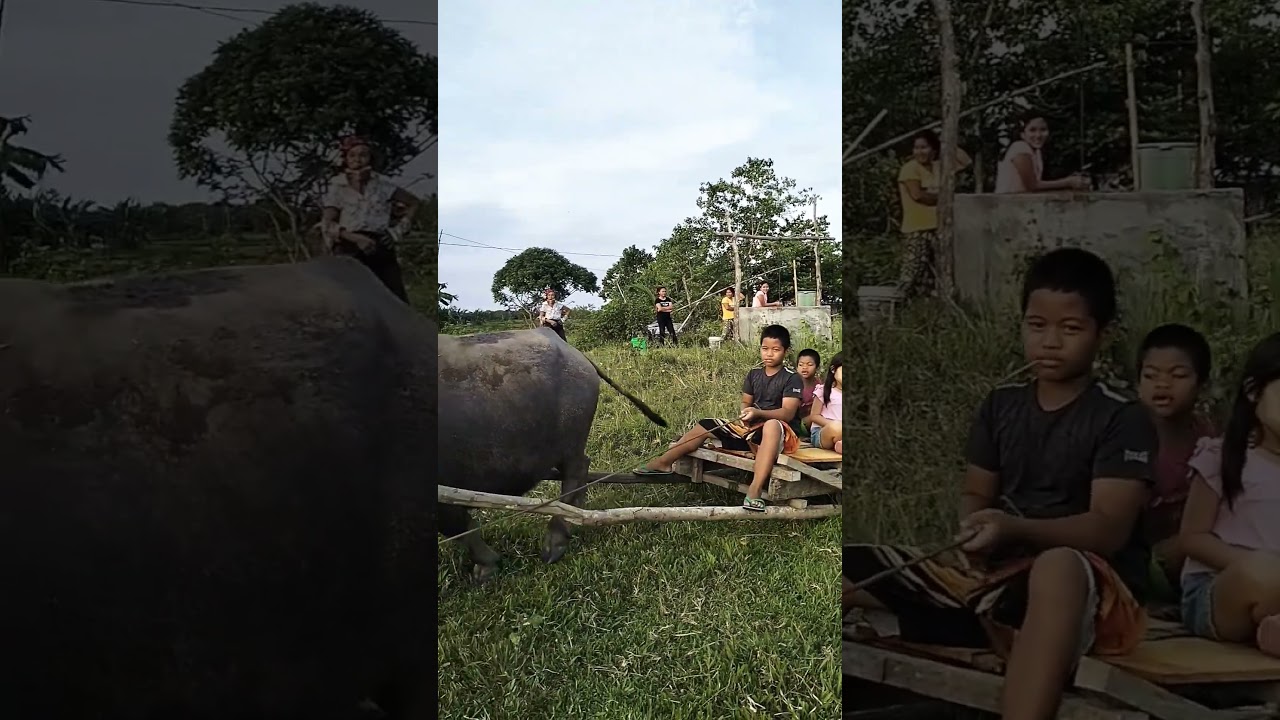 Another beautiful day in our Village -Bohol Philippines