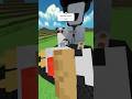 CHICKEN #trending #minecraft #gorillatag #veiws #animalblocks @animalblocks #fypviralシ