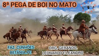 (DRONE)8ª PEGA DE BOI NO MATO FAZ. CUNHÕES BETÂNIA.PE ORG. GERANDO. LEONARDO E LEANDRO 