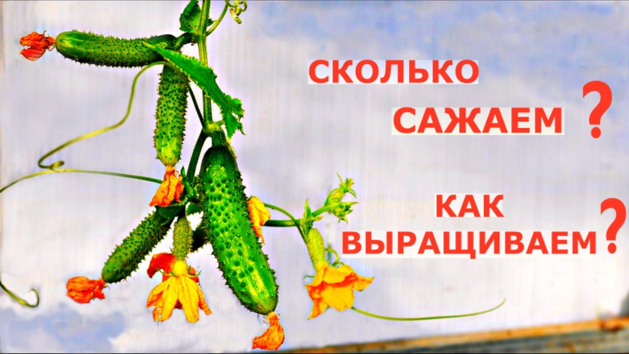 Наталья Сморчкова 2022 Год Новые Видео Наталья Сморчкова 2022 Год Новые Видео