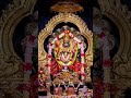সর্ববাধা বিনাশ কারী নরসিংহ দেব কি জয়🫶🏻