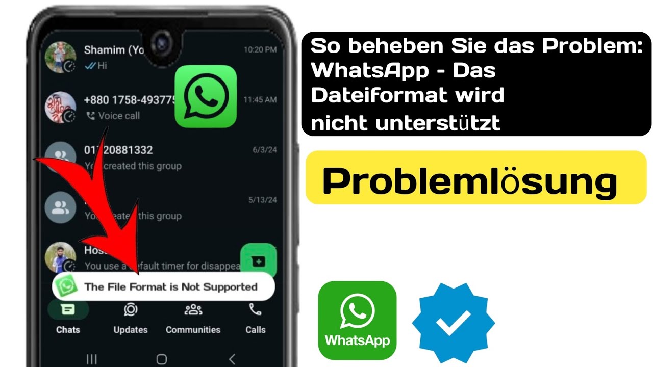 So beheben Sie das WhatsApp-Problem „Das Dateiformat wird nicht