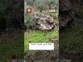 شاهد..انهيار صخرة ضخمة على منزل في تنورين التحتا جراء العواصف والسيول