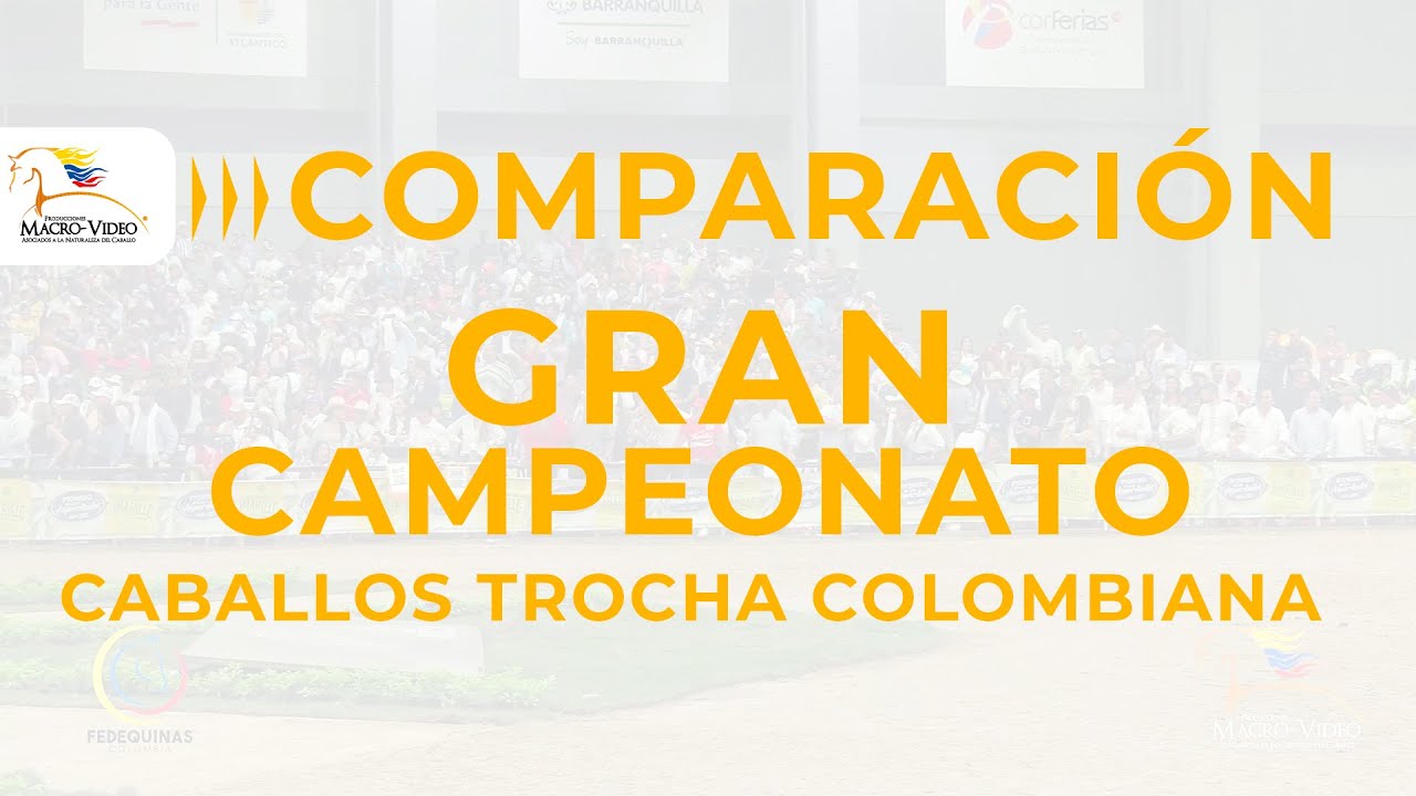 ESPECTACULAR COMPARACIÓN GRAN CAMPEONATO CABALLOS TROCHA COLOMBIANA NACIONAL EQUINA BARRANQ. 2022