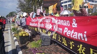 Protes Di Luar Pejabat Mb, Polis Tangkap Mp, Petani