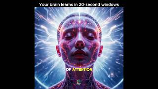 #facts #metacognition #neuroscience #brain