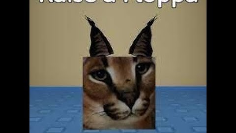 Bought particle accelerator in raise a floppa (read desc)