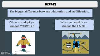 ADAPT AND MODIFY RECAP Adapt And Modify