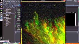 Celebrity Over-dithered Net Worth