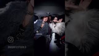 Tuana Tetik ~Ta Ki Seni Görene Kadar