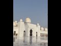 UAE / DUBAI / UNITED ARAB EMIRATES