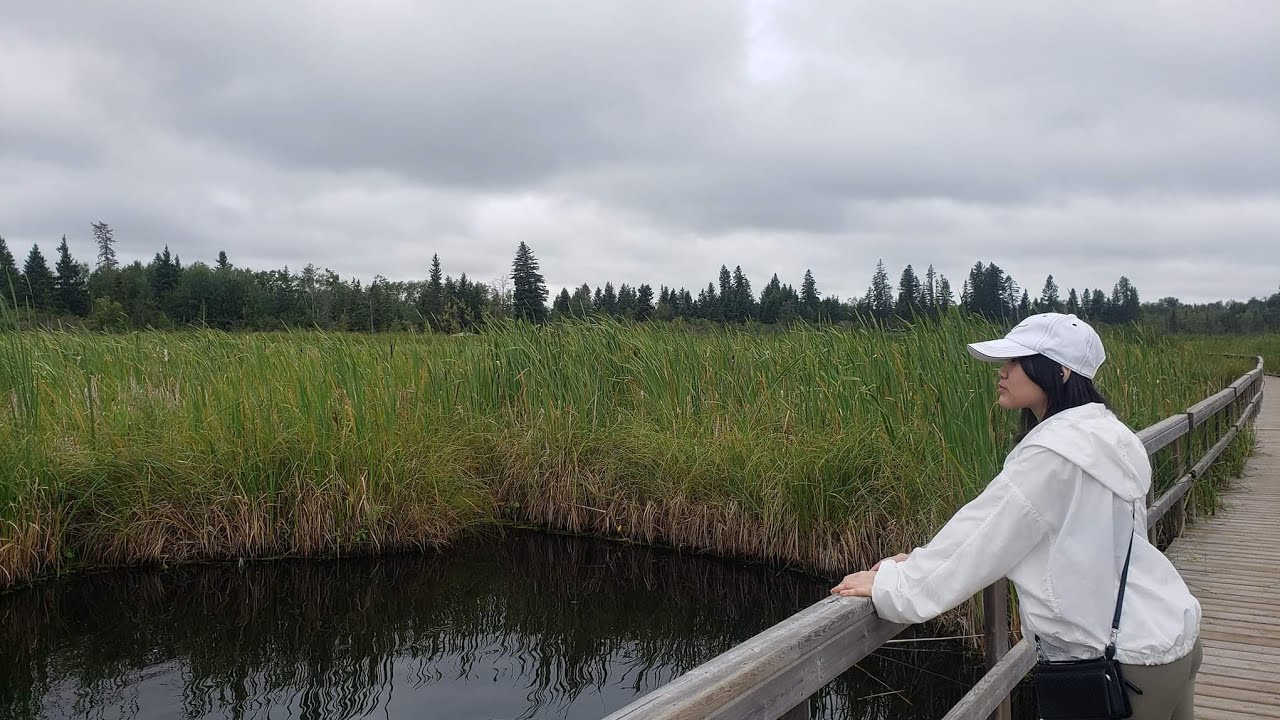 Elkhorn Resort Day 2: Ominnik Marsh Trail