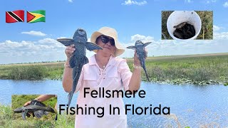 Palm Bay Fishing In Florida! ( we caught hassa and tilapia )
