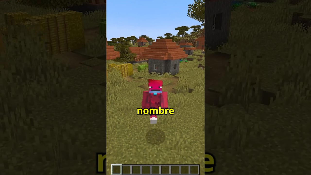 EL NOMBRE MÁS RARO DE MINECRAFT