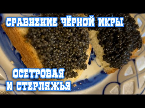 Дегустация чёрной икры.