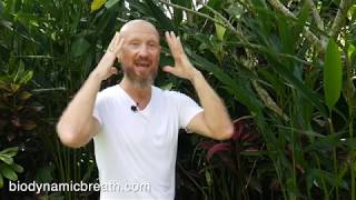 Video: Biodynamic Breathwork (BBTRS)-Home practice demo with founder Giten Tonkov