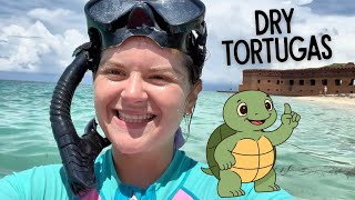 Dry Tortugas National Park Travel Guide and FAQ for Snorkelers (Via the Yankee Freedom Ferry)