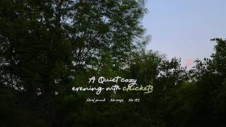 Peaceful Dusk Nature Sounds for Sleep & Insomnia Relief | 90 Min of Crickets, No AI