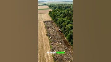 The Secret Route of Infection No One Talks About. #Bats #HendraVirus #NipahVirus #Spillover # #facts