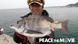 Peace The Movie 93 鳥海山を見ながらチヌ狙い 東北地方 山形県鶴岡の旅 後編 平和卓也 1093 山男チャンネル Peace The Movie 93 鳥海山を見ながらチヌ狙い 東北地方 山形県鶴岡の旅 後編 平和卓也 1093 山男チャンネル