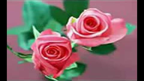 طه النعمانى سورة الفرقان