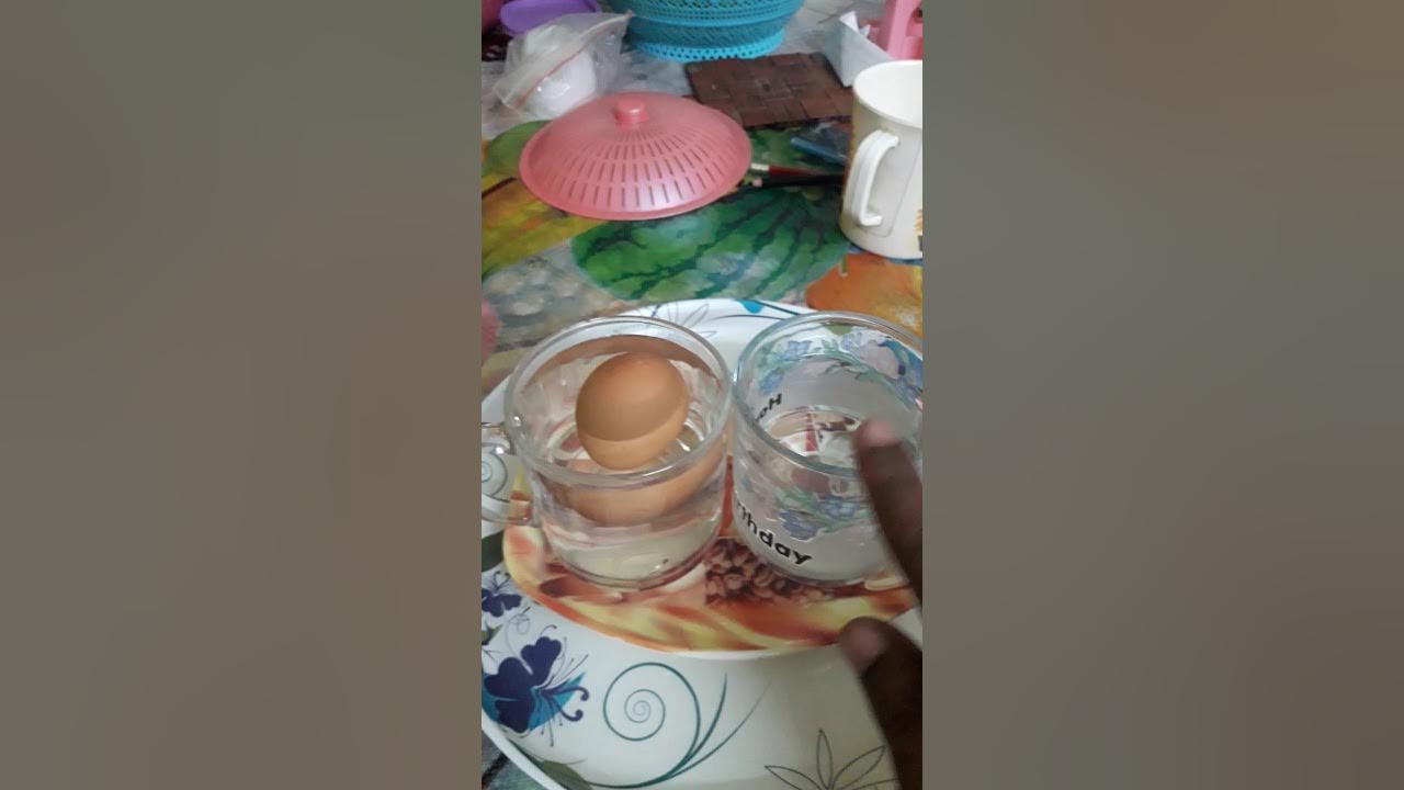 Why does an egg float on water YouTube