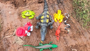 Đi xem máy xúc, nhặt được các con vật, con cá sấu, con khủng long, con chó,  con tôm, con rắn.