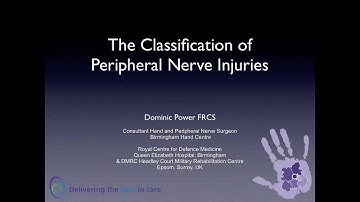 The Classification of Peripheral Nerve Injuries