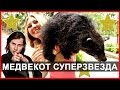 КОНТАКТНЫЙ ЗООПАРК КХАО КХЕО В ПАТТАЙЕ - ДИКИЙ ВЫПУСК ☼