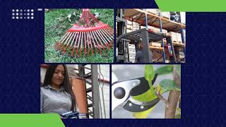 Remeco TV programa 36