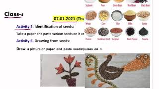 Class- 5 / SST/Arts / Winter vacation homework solution / Date- 7.01.2021 (English Medium)