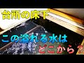 【高圧洗浄】まさかの事態!〇年分の水が床下に!【Drain Unblocking】【花のお掃除 #8】