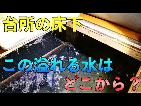 【高圧洗浄】まさかの事態!〇年分の水が床下に!【Drain Unblocking】