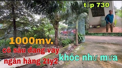 TRUNG TÂM TPBR . NHÀ VƯỜN TRÁI CÂY,SẦU RIÊNG ĐỦ LOẠI TRÁI CÂY GIÁ QUÁ TỐT.NHANH TAY SỞ HỮU NHÉ 