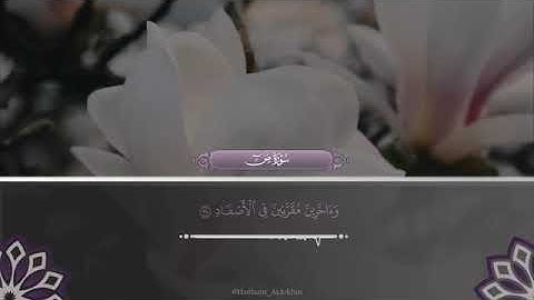 تلاوة خاشعة لسورة صٓ لشيخ هيثم الدخين