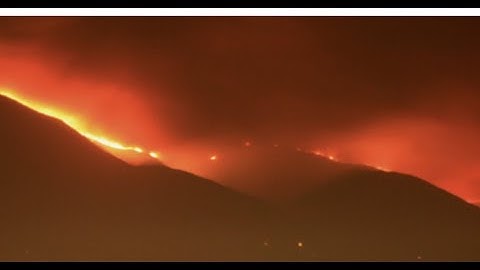 Can Artificial Intelligence Predict Natural Disasters? | The Threat Report News