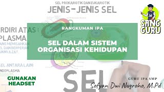 Materi ipa kelas 7 semester 2 bab 1 sistem organisasi kehidupan
-tingkat hierarki [tags] #sel #sistemorganisasikehidupan
#belajardirumah...