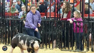 AMP Senior Elizabeth Little - February 2018 - NE360 Focus