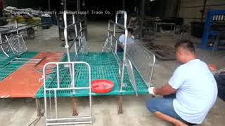 detailed installation process of double farrowing crates with BMC floor and Galvanized steel pipe fe