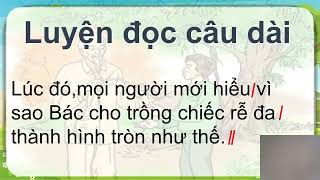 Giáo Án E LEARNING  BÀI CHIẾC RỄ ĐA TRÒN   GIÁO VIÊN  NGUYỄNG THỊ HÀ GIANG