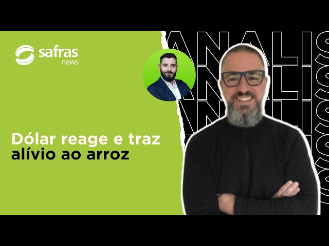 Fluxo exportador melhora, dólar ganha força e mercado de arroz respira